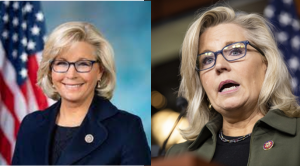liz cheney net worth