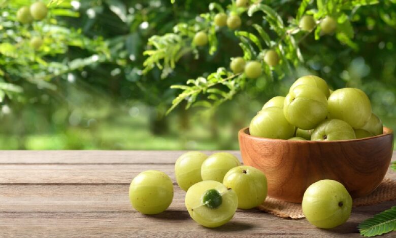 Understanding the Right Amla Extract Brand Selection and When to Have it