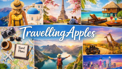 latest articles travellingapples