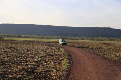 What These Unexpected Adventures Give You