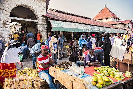 Why You Should Look Beyond the Lions 